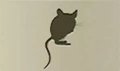Mouse silhouette