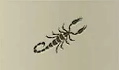 Scorpion silhouette