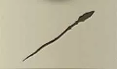 Staff silhouette