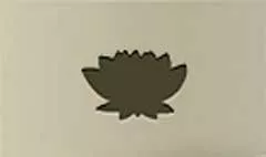 Water Lily silhouette