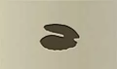 Shell silhouette