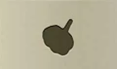 Garlic silhouette