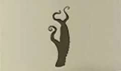Tentacles silhouette