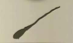 Broom silhouette