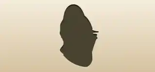 兜