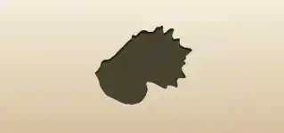 貝殻