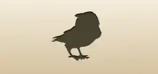 カラス