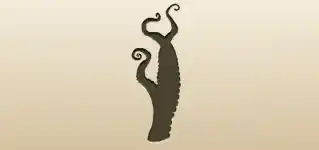 タコの脚
