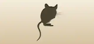 ネズミ
