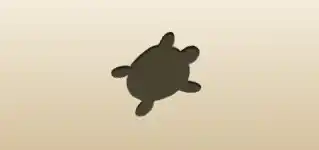 カメ