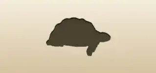 カメ
