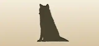 狼
