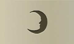 Moon silhouette