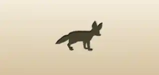 Fennec Fox