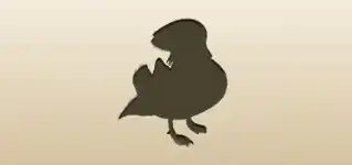 Mandarin Duck