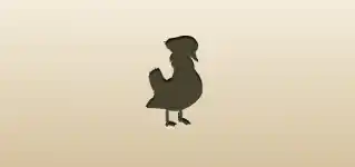 Mandarin Duck