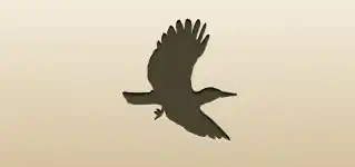 Woodpecker