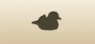 Mandarin Duck