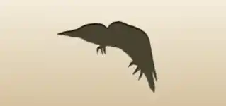 Woodpecker