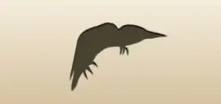 Woodpecker
