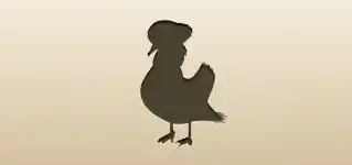 Mandarin Duck