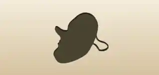 Mask