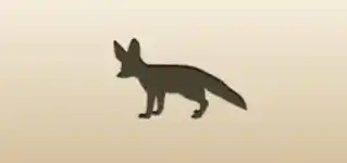 Fennec Fox