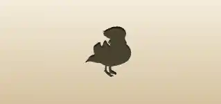 Mandarin Duck