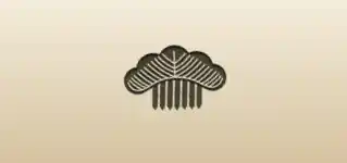 Decorative Comb