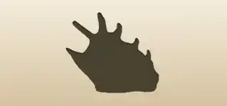 Shell