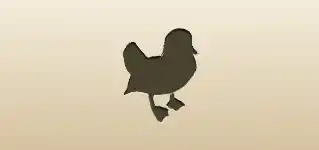 Mandarin Duck