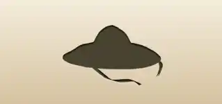 Bamboo Hat