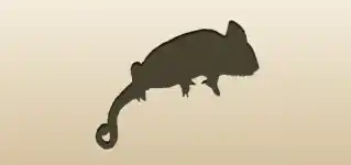 Chameleon