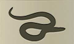 Snake silhouette #6
