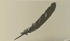 Feather silhouette