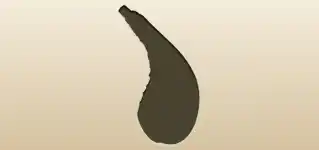 Wineskin