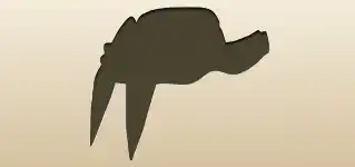 Women’s Hat