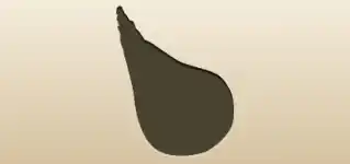 Wineskin