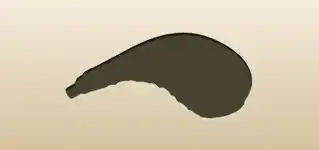 Wineskin