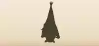 コウモリ