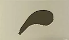 Wineskin
