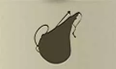 Wineskin