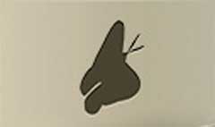 Butterfly silhouette