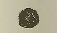 Ball of Twigs