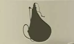 Wineskin