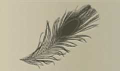 Feather