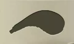 Wineskin