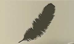 Feather silhouette