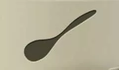 Spoon
