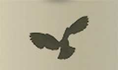 Owl silhouette #1